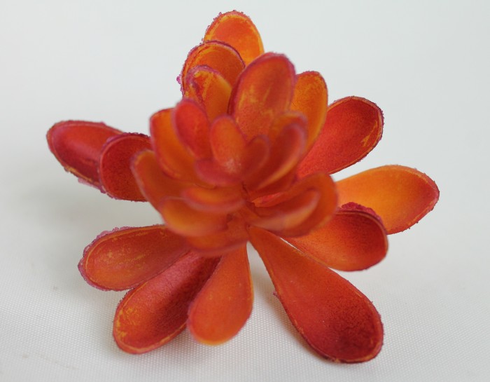 Э11316 Б/С Суккулент d=9см(6микс)