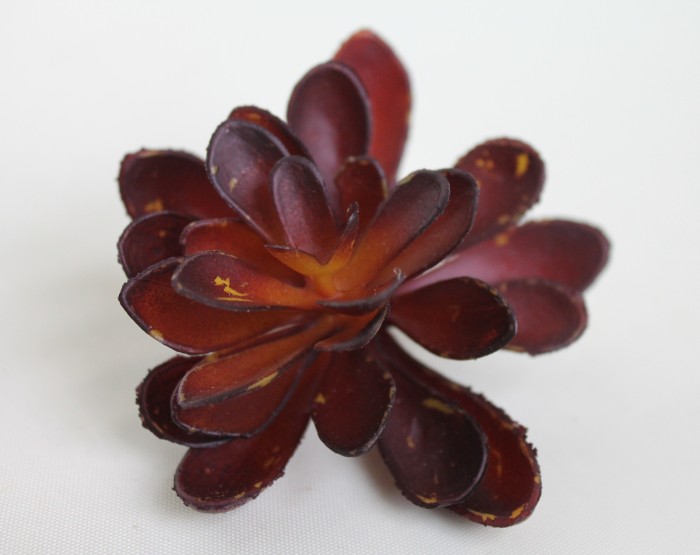 Э11316 Б/С Суккулент d=9см(6микс)