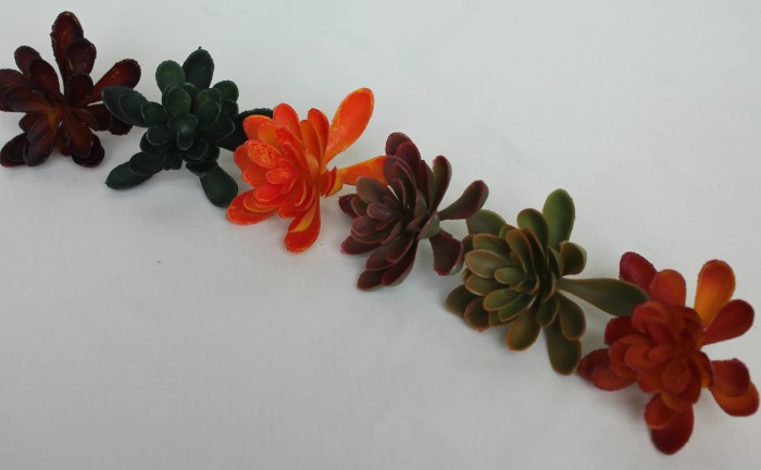 Э11316 Б/С Суккулент d=9см(6микс)