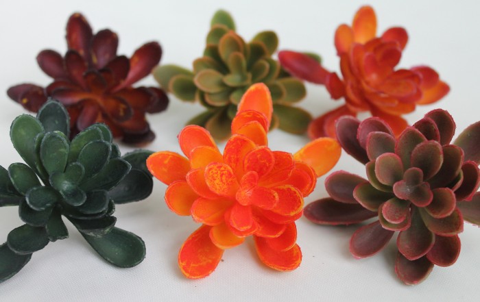 Э11316 Б/С Суккулент d=9см(6микс)