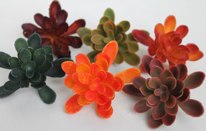 Э11316 Б/С Суккулент d=9см(6микс)