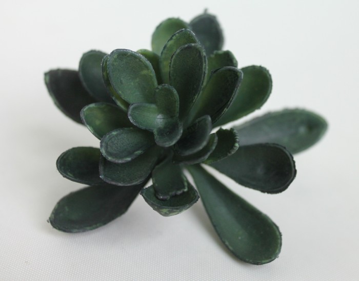 Э11316 Б/С Суккулент d=9см(6микс)