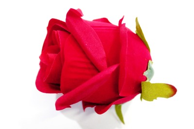 Г11927 Б/С Голова крупный бархатный бутон d=8см(20шт)