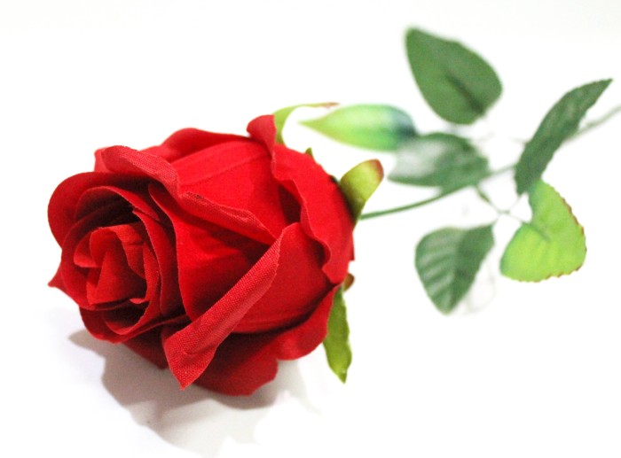 Г11927 Б/С Голова крупный бархатный бутон d=8см(20шт)