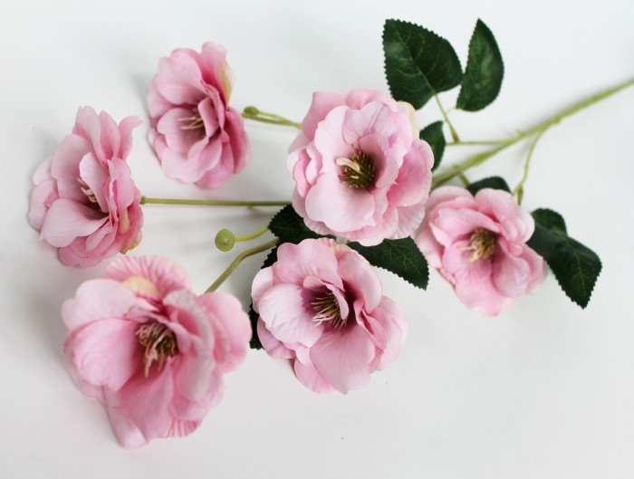 В11819 Б/С Ирландская роза эустома 6гол.80см(6шт) 