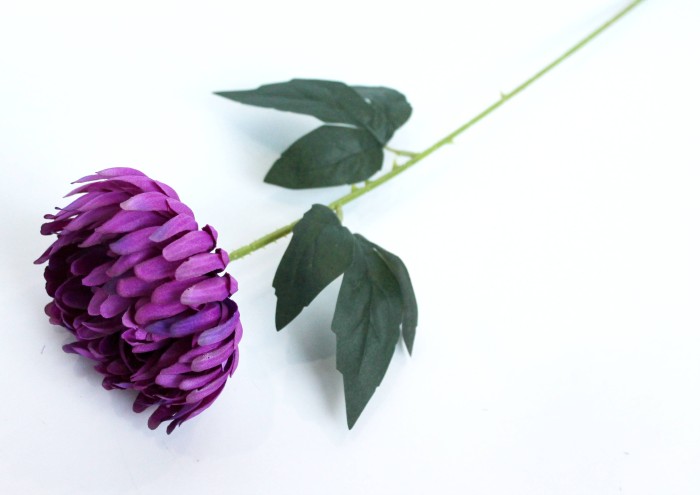 О11961 Б/С Нога универсальная с дорогими листьями 48см(20шт)