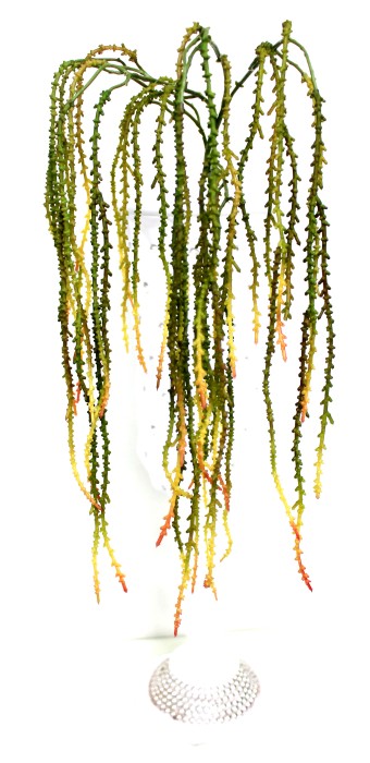 В9911 Б/С Амарант силикон.трехцветный Н110см(2шт)