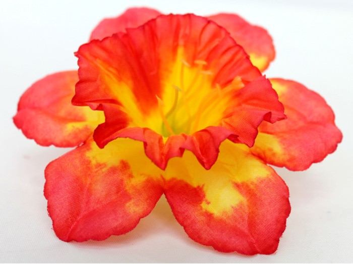 Г5420 Голова нарцисс 13см"Щелкунчик"(600микс)