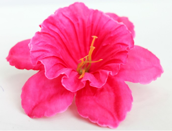 Г5420 Голова нарцисс 13см"Щелкунчик"(600микс)