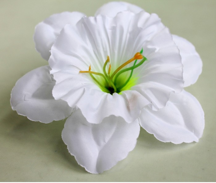 Г5420 Голова нарцисс 13см"Щелкунчик"(600микс)