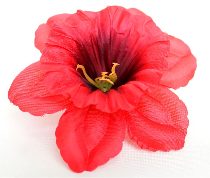 Г5420 Голова нарцисс 13см"Щелкунчик"(600микс)