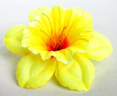 Г5420 Голова нарцисс 13см"Щелкунчик"(600микс)