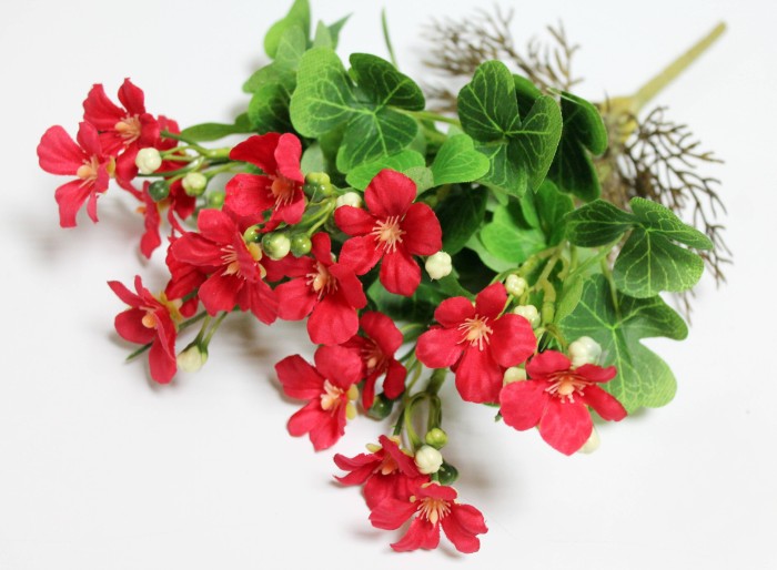 Б12282 Б/С Фиалка душистая горшечная с корнями 5в.32см(10шт)