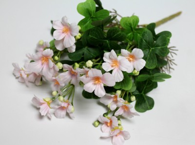 Б12282 Б/С Фиалка душистая горшечная с корнями 5в.32см(10шт)