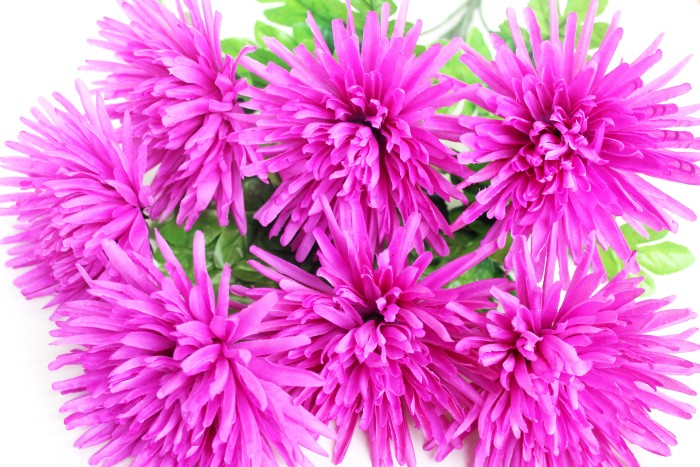 Б7708 Б/С Бук.хризантем игол."Балтика"7г.Н63см(10шт)