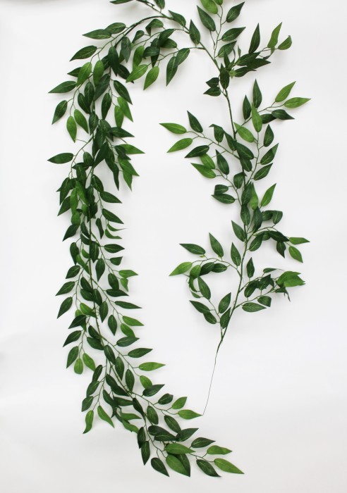 ЛЗ11854 Лиана ива Вавилонская 252 листа 36 отростков 2,2м(2шт)