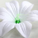 Г10978 Голова 14см лилия садовая"Лето"(400микс)