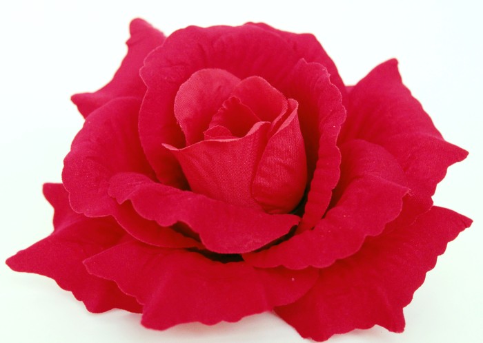 Г11265 Роза бархатная"Москвичка"d=16см(100шт)