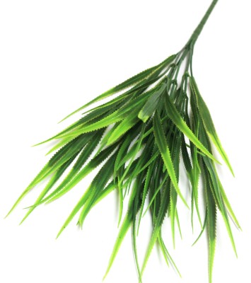 Б12204 Букет осока ребристая Н35см(40шт)