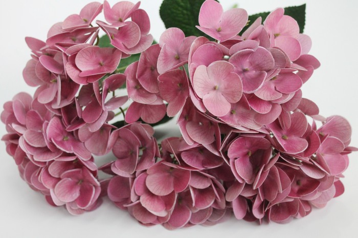 Б11616 Б/С Бук.гортензии по расцветкам латекс 3D"Сантьяго"5г.46см(6шт)