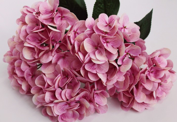 Б11616 Б/С Бук.гортензии по расцветкам латекс 3D"Сантьяго"5г.46см(6шт)