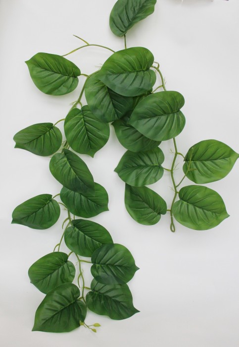 ЛЗ11858 Б/С Лиана филодендрон 21 крупный лист 1,8м(2шт)