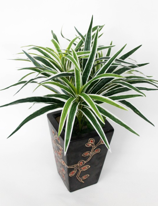 В11651 Б/С Ветка хлорофитума Н46см(10шт)