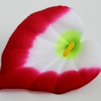 малиновый комбинированный