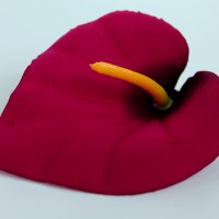 Красно-чёрный