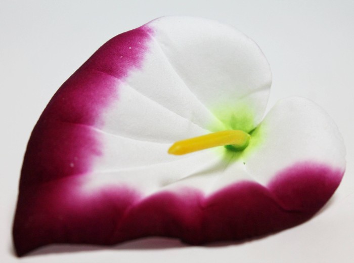 Г10798 Б/С Калла бархатная цветная с тычинкой d-11см(100шт)