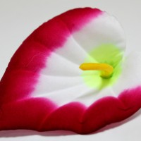 малиновый комбинированный