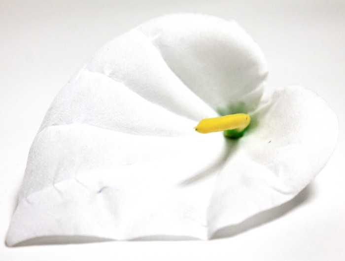 Г10798 Б/С Калла бархатная цветная с тычинкой d-11см(100шт)