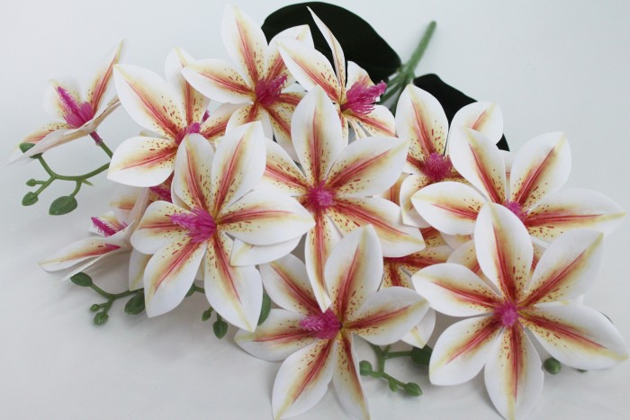 Б11625 Б/С Букет магнолии лат."Дженни"5в.15г.Н47см(3микс)