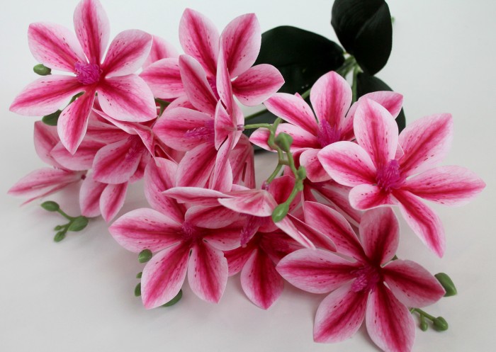 Б11625 Б/С Букет магнолии лат."Дженни"5в.15г.Н47см(3микс)