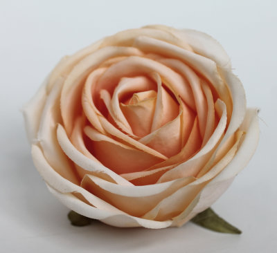 Г11793 Б/С Голова роз пенопластом&quot;Премиум&quot;d=9см(10шт)