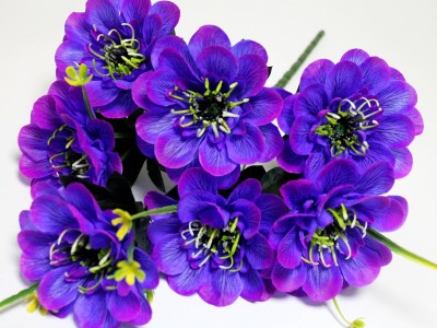 Б12286 Б/С Букет георгин 7г.с красивой серед."Райд"50см(40микс)