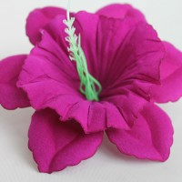 Фиолетовый