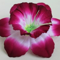 бордовый комбинированный