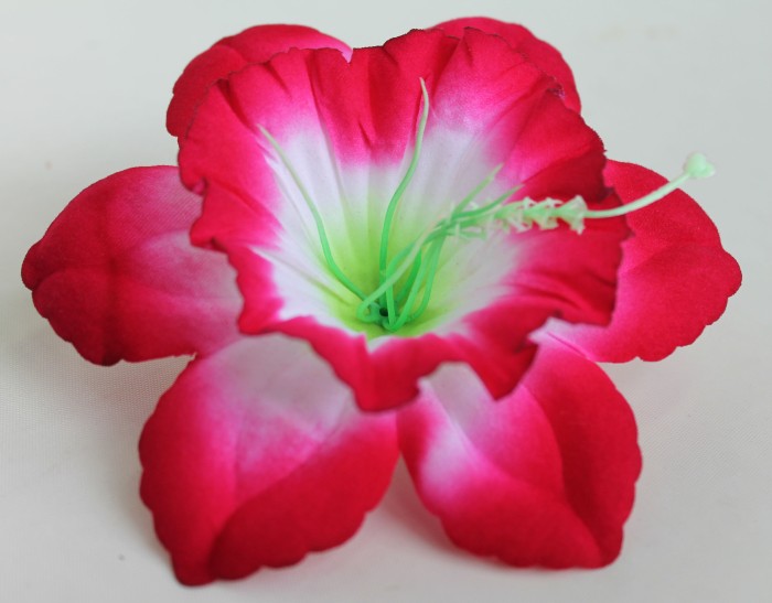 Г10800 Нарцисс бархатный цветной с тычинкой d=13см(300микс)