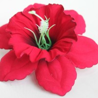 Красно-чёрный