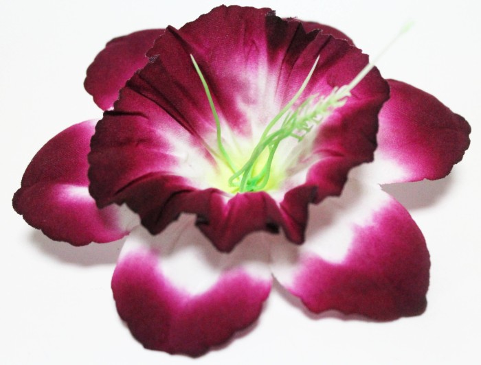 Г10800 Б/С Нарцисс бархатный цветной с тычинкой d=13см(50шт)