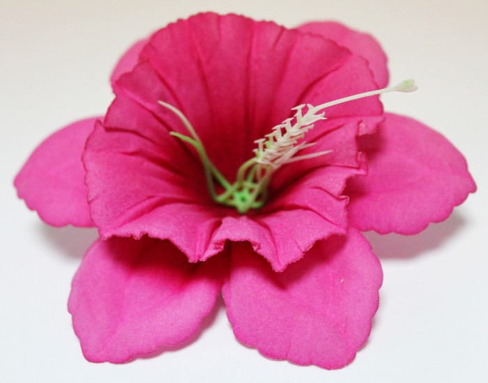 Г10800 Б/С Нарцисс бархатный цветной с тычинкой d=13см(50шт)