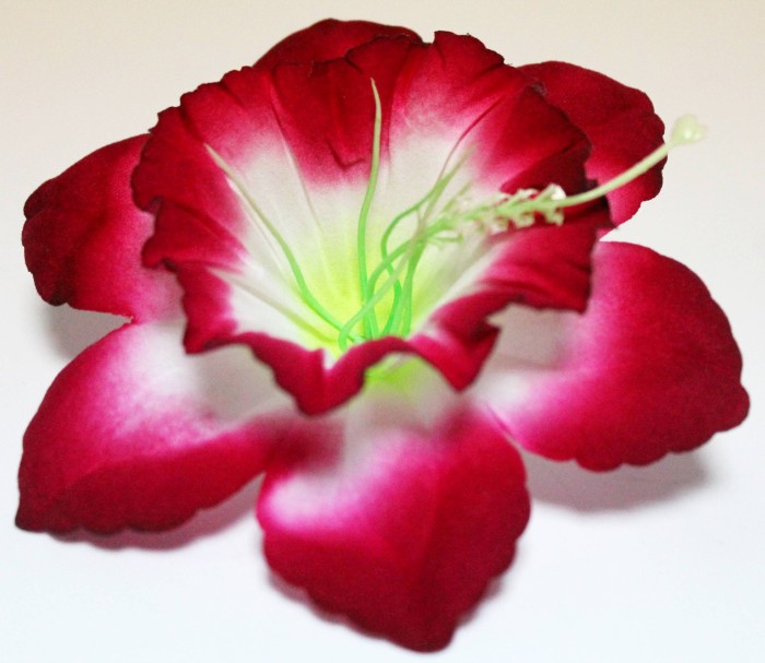 Г10800 Б/С Нарцисс бархатный цветной с тычинкой d=13см(50шт)