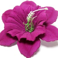 Фиолетовый