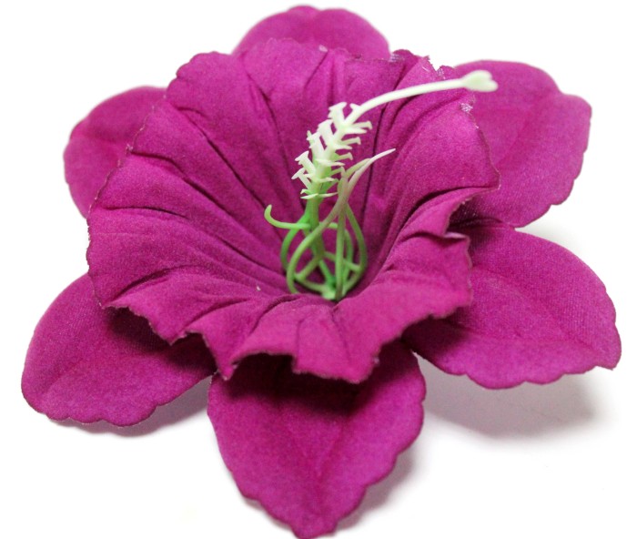 Г10800 Б/С Нарцисс бархатный цветной с тычинкой d=13см(50шт)