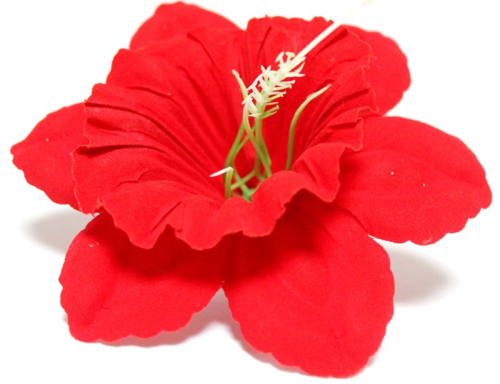 Г10800 Б/С Нарцисс бархатный цветной с тычинкой d=13см(50шт)