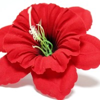 Красно-чёрный