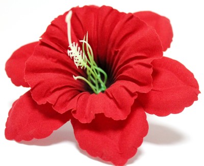 Г10800 Б/С Нарцисс бархатный цветной с тычинкой d=13см(50шт)