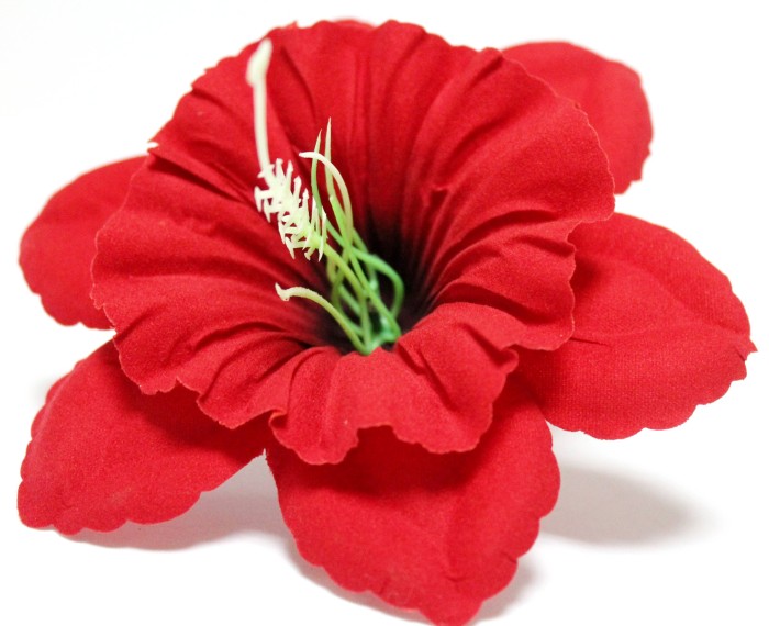 Г10800 Б/С Нарцисс бархатный цветной с тычинкой d=13см(50шт)