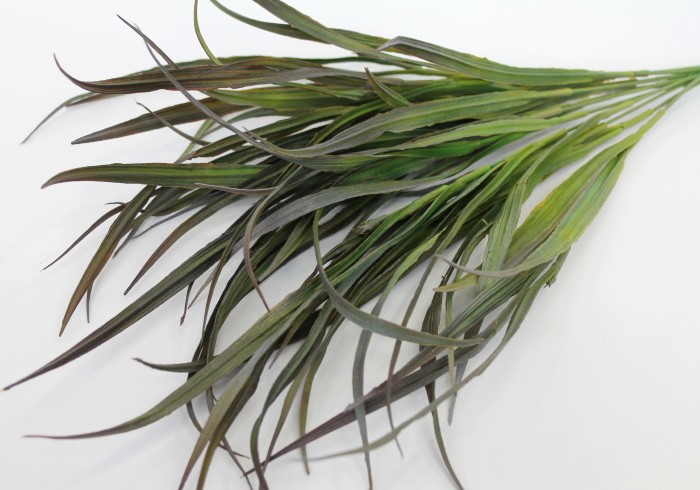 Б11369 Б/С Бук.осока натуральная крупная Арнелла 12в.Н60см(10микс)